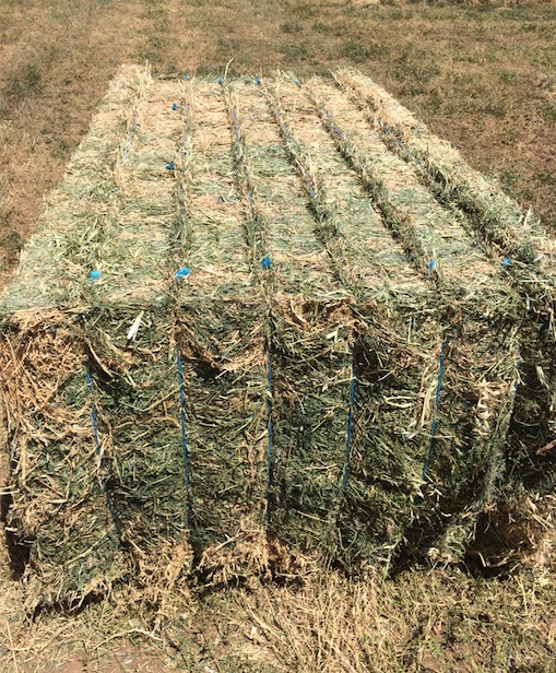 2 x Single Loads of Vetch Hay For Sale Hay & Fodder Vetch